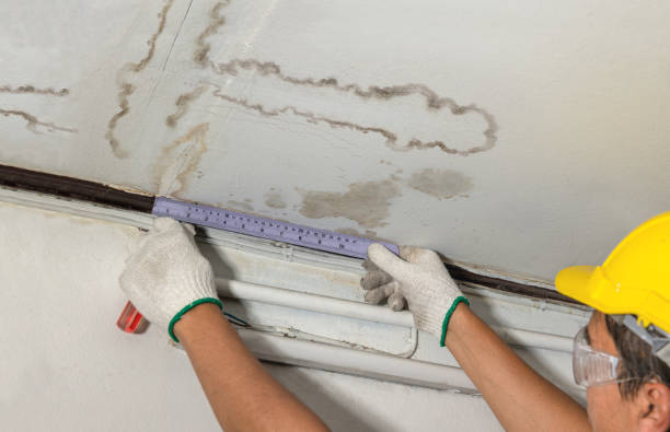 Reliable Basement Water Removal contractor in Valders, WI by Water Damage Irwin